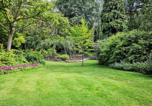 Optimiser l'expérience du jardin à Autheuil-en-Valois